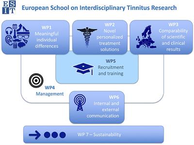 Innovations in Doctoral Training and Research on Tinnitus: The European School on Interdisciplinary Tinnitus Research (ESIT) Perspective